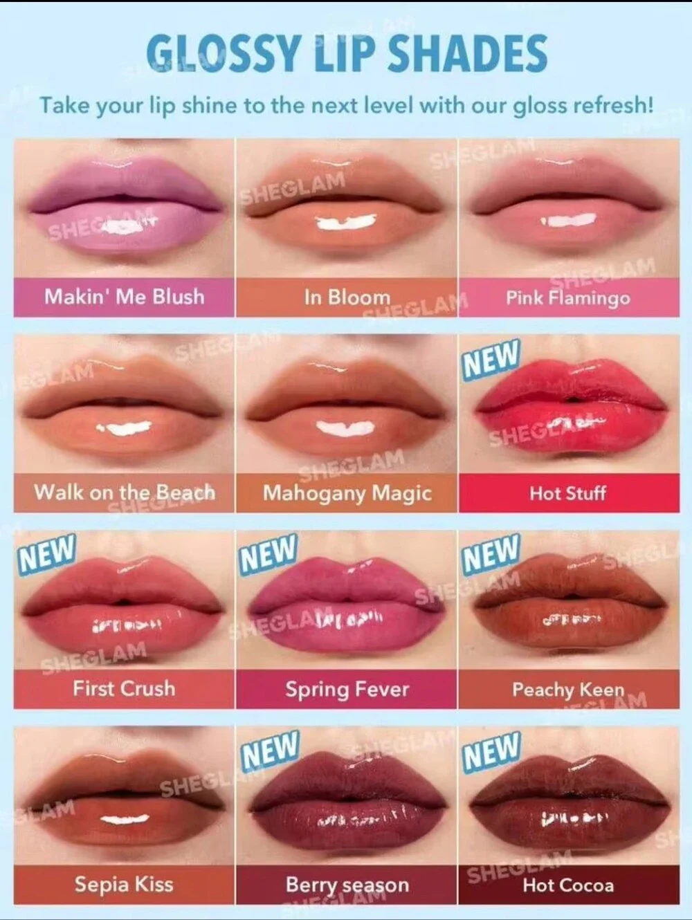 🆕️Pout Perfect Shine Lip Plumper MAHOGANY MAGIC